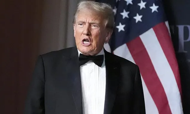 As Trump picks his Cabinet, Musk suggests he let the public weigh...