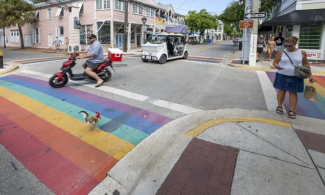 Florida puts rainbow crosswalks in the crosshairs, as cities face...