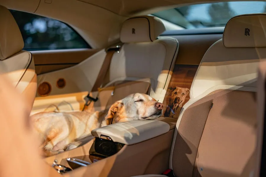 Rolls-Royce Delivers One-Of-One Fur-Baby Luxury Car Tribute