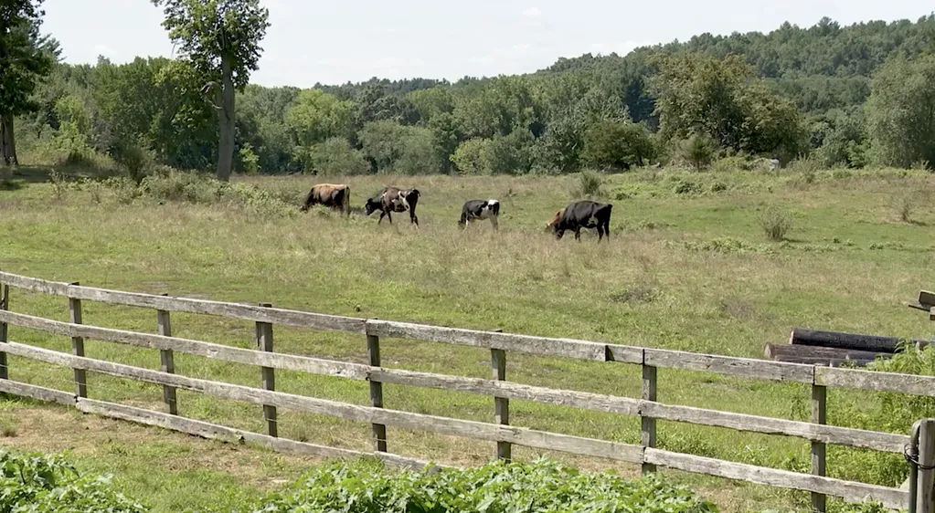 Framingham Council Set to Vote on $3.5M for CPA Projects | The Frame