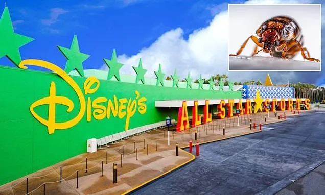 Tourist demands thousands from Disney over alleged bed bug infestation