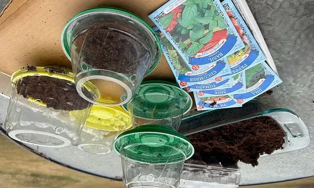 How to save money on garden gear with some creative recycling