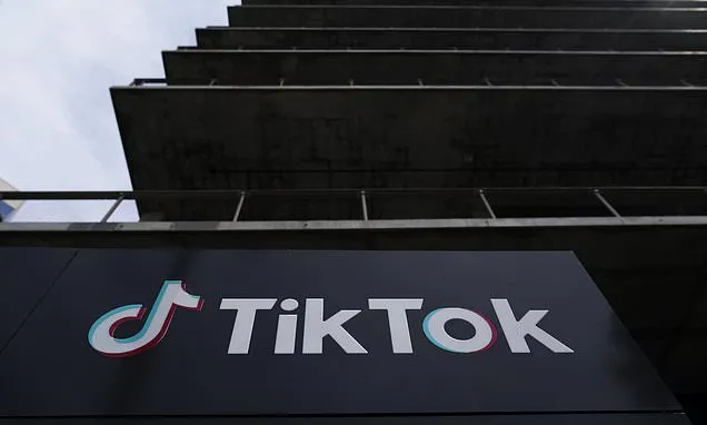 TikTok asks the Supreme Court for an emergency order to block a US...