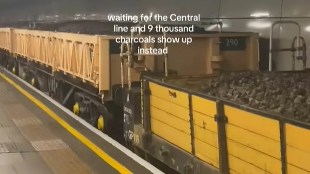 Londoner left baffled as truck of 'coal' turns up instead of the tube