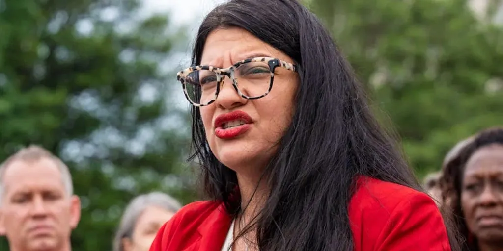 Rashida Tlaib slams anti-israel Arab group over handling of sexual harassment claims