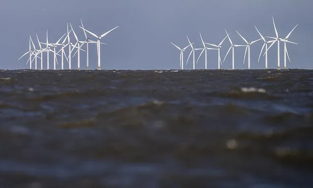 Fishing leaders call for immediate halt to wind farm expansion...