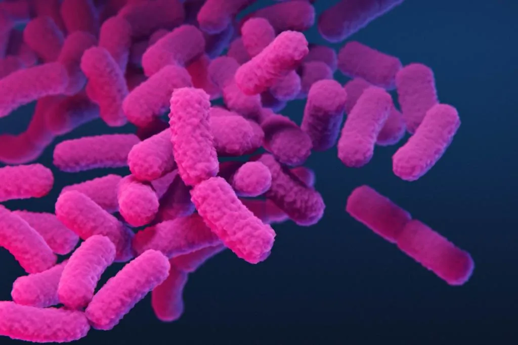 One surprising factor hikes your risk of a deadly 'superbug' infection