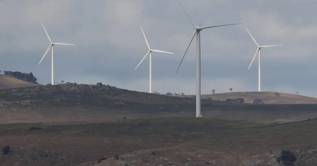 Australia's watered down emissions target draws ire of environmentalists