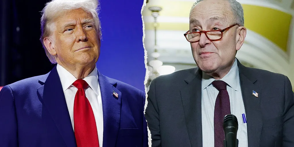 Trump mocks 'discombobulated' Schumer over Democrats' near gaffe on funding ICE