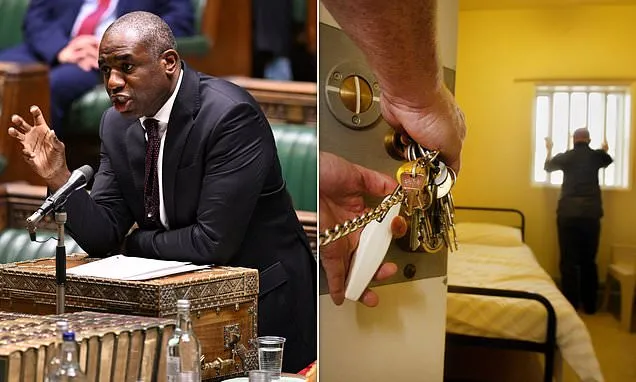 Thousands escaping jail terms despite SEVENTY previous convictions