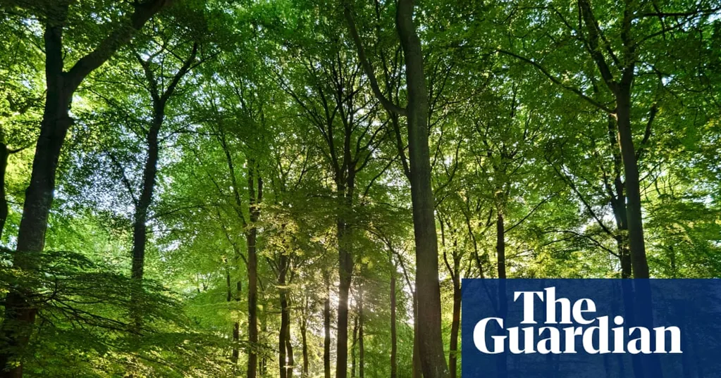 Area of England well protected for nature is in decline, data shows