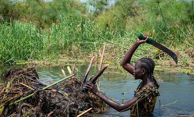 South Sudanese community fights to save land from relentless...