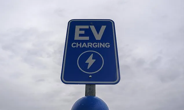 Five facts about electric vehicles in 2024