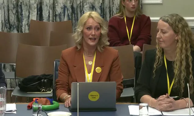 Mother of boy restrained and placed in cupboard urges legislative...