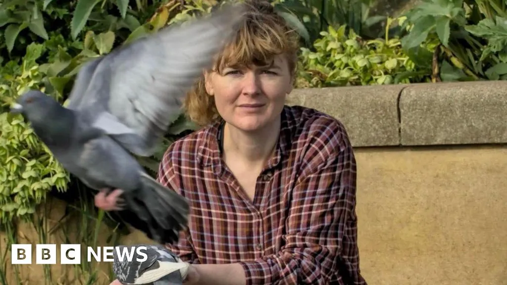 Pigeons feeders at Norwich Market selfish, says council
