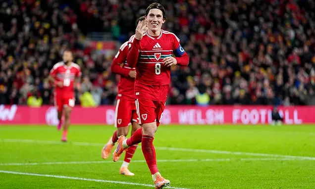 Craig Bellamy: Wales cannot afford to lose Harry Wilson for WC...