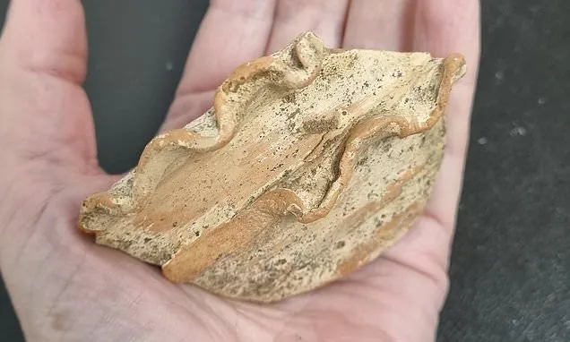Incense bowl and helmet handle among finds at National Trust estate...