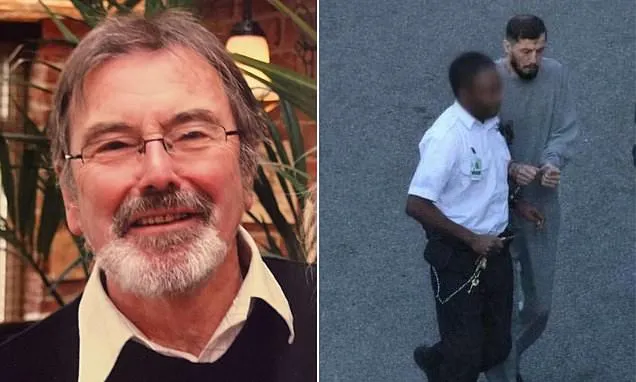 Albanian driver admits killing a great-grandfather, 89, in hit-and-run