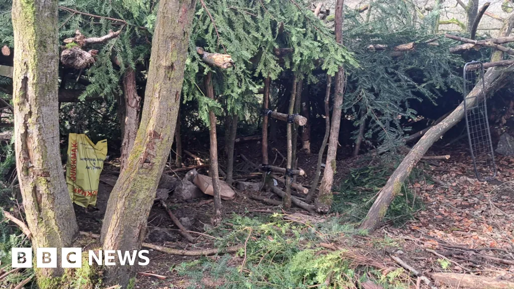 'Shock' as trees cut down in Buxton woodland to create den