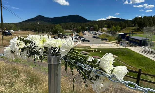 Parents of Colorado school shooter won't face gun charges,...