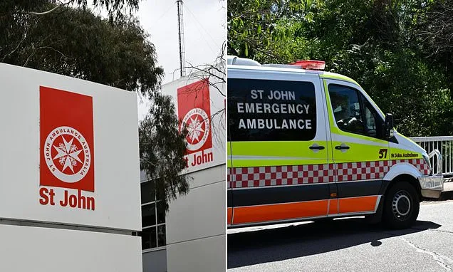 Ambulance service in major city reaches 'critical failure point'