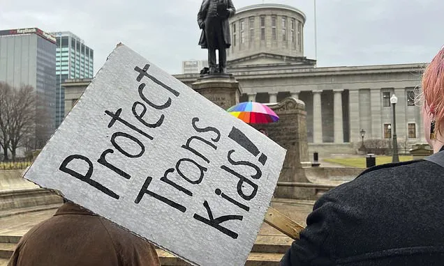 Trump hammered Democrats on transgender issues. Now the party is at...