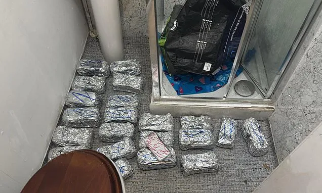 Police disrupt smuggling ring in 'largest-ever´ phone theft crackdown