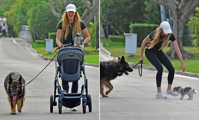 Gisele Bundchen juggles baby son and two dogs on hectic solo outing