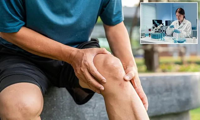 New treatment for debilitating joint disease regrows healthy knees