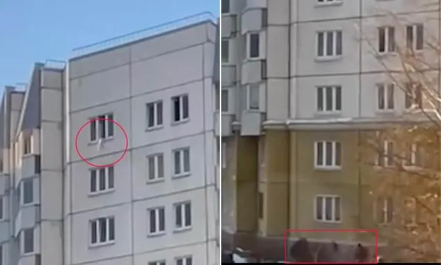 Toddler plunges from tower block window - before two nurses catch him
