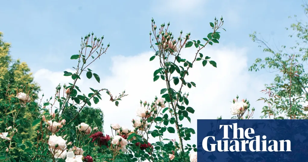 Death and the Gardener by Georgi Gospodinov review - how it feels to lose a father