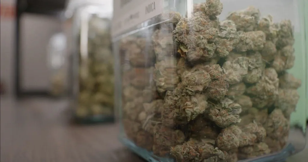 Amendment 3's rejection raises questions about future of Florida's medical marijuana industry