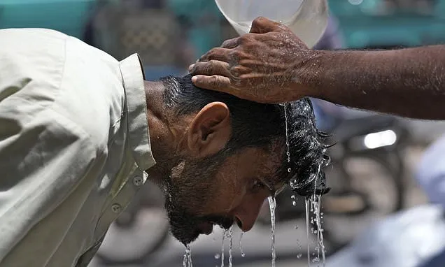 European climate agency says this will likely be the hottest year...