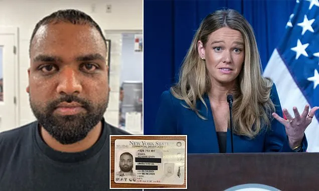 Illegal migrant handed 'NO NAME' driver license after release into US