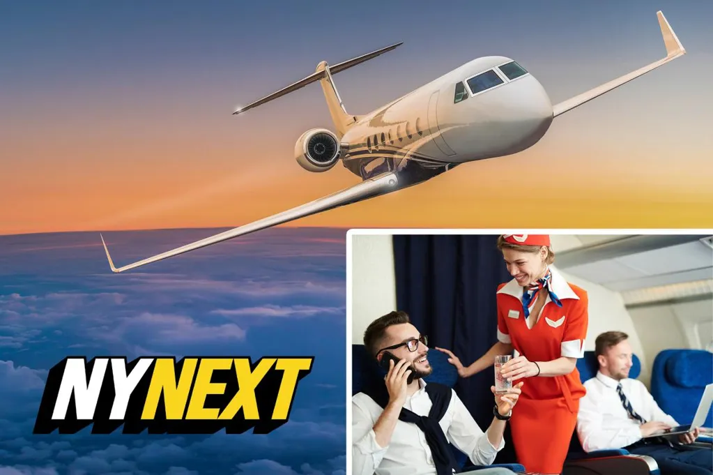 This $300,000 technology is turning private jets into flying offices