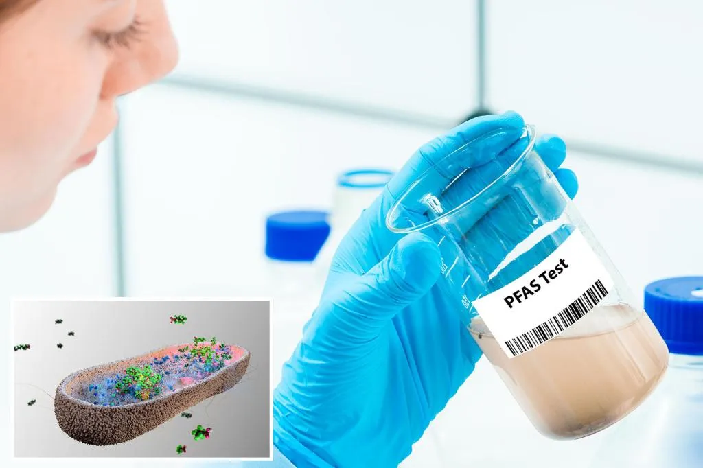 PFAS breakthrough? Scientists eye easy way to rid the body of forever...