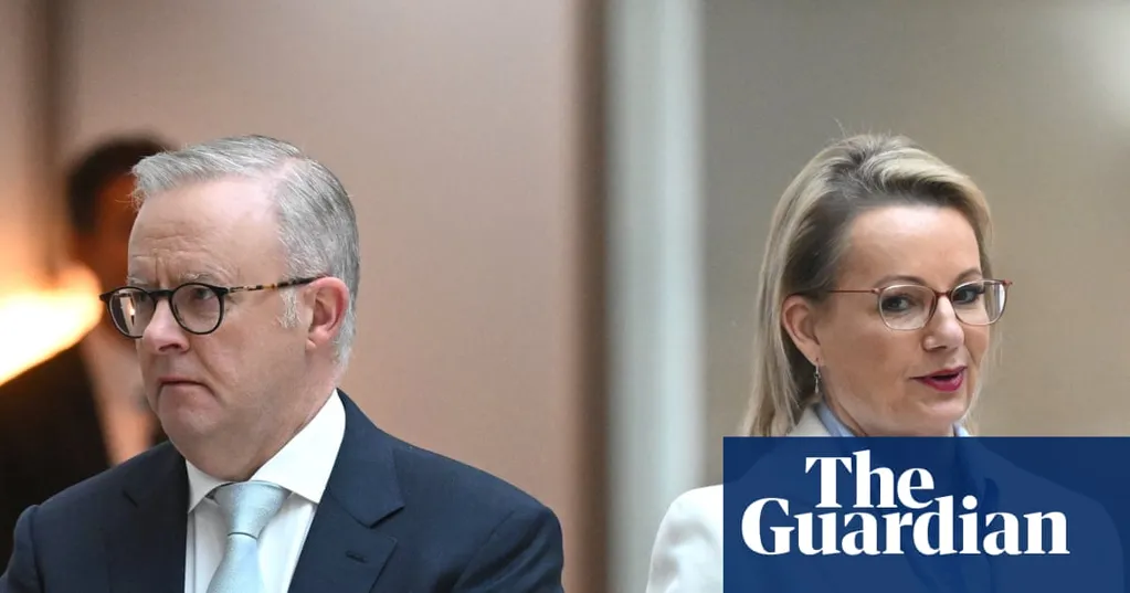 As Labor seeks to pass end-of-year environmental law reform, Ley and the Greens will be vying to seal the deal