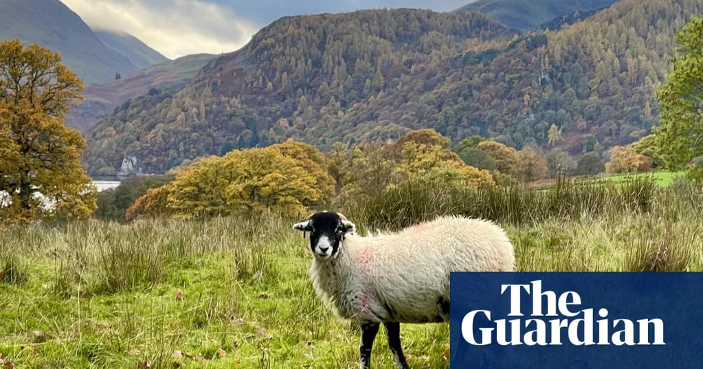 Conservationists call for Lake District to lose Unesco world heritage status