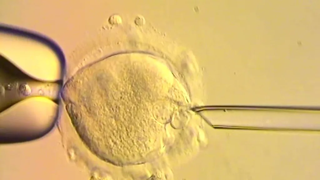 Eight babies have been born in Britain using 3-person IVF technique