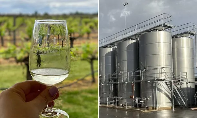 Winemaker blames 'goody two-shoes' Gen Z drinkers for sales slump