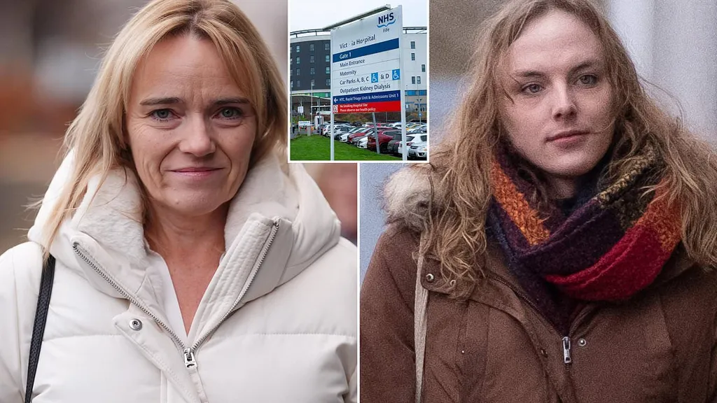 NHS Fife brands information tsar 'emotional' in bizarre diatribe
