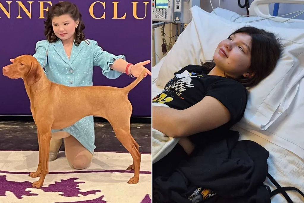 11-Year-Old Girl with Rare Treatment-Resistant Cancer Achieves Dream of Competing in the Westminster Dog Show (Exclusive)