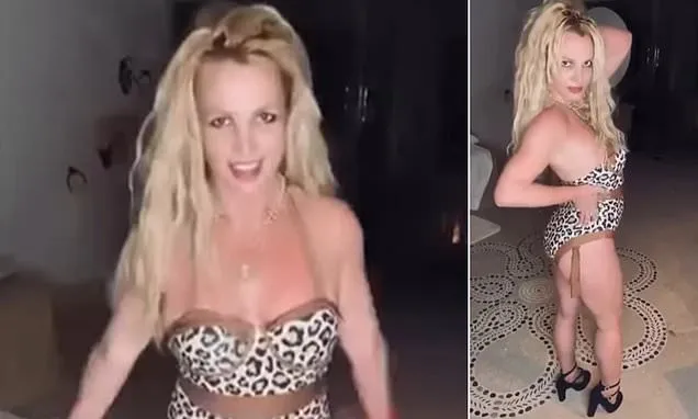 Britney Spears shares cryptic post amid fears for troubled star