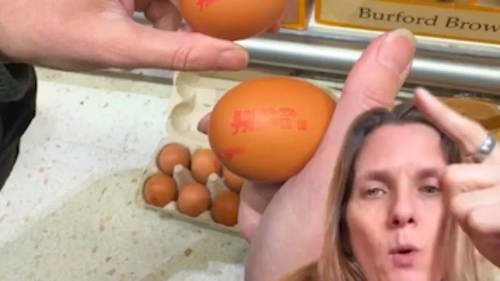Shoplifters pinching posh eggs by popping them in cheaper boxes