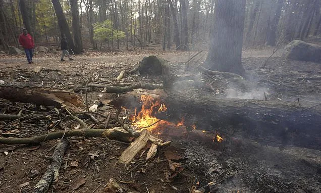 Fire crews on both US coasts battle wildfires, 1 dead; Veterans Day...