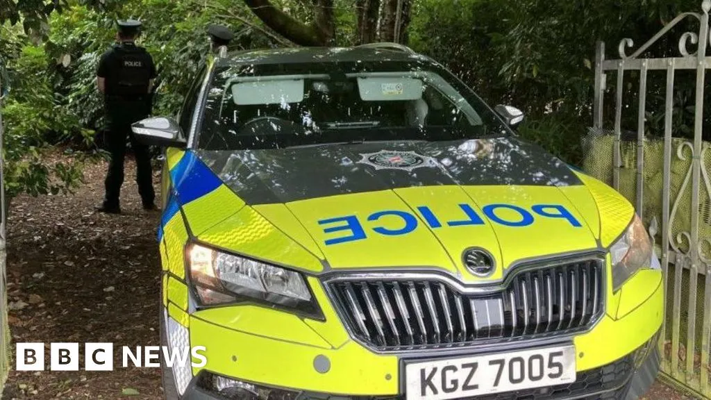 Londonderry: Man jailed for three years in body-in-fridge case