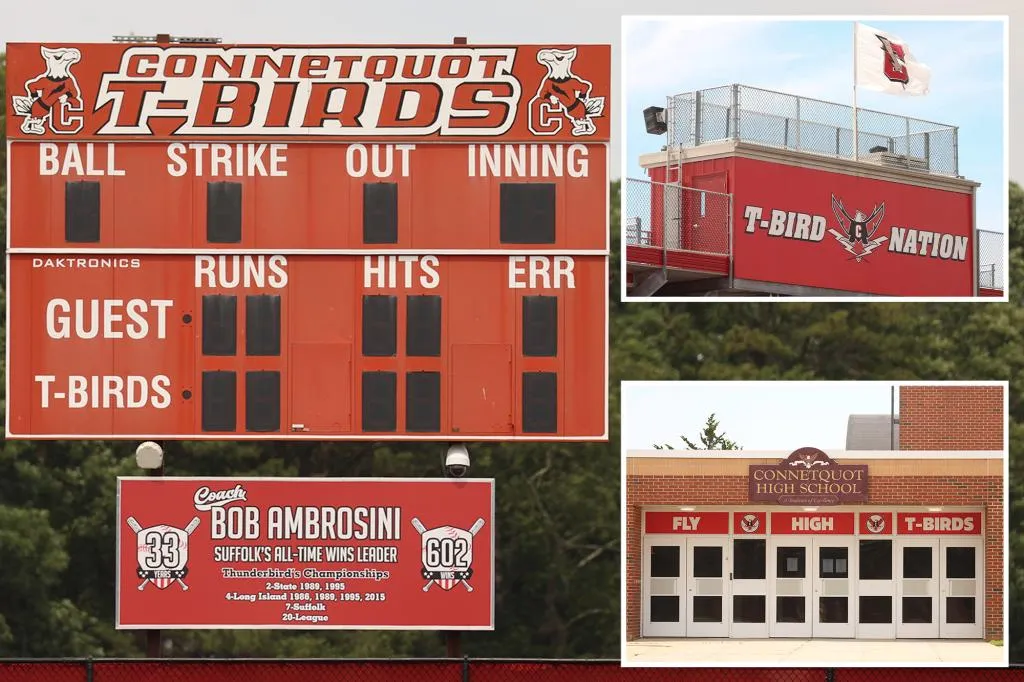 Exclusive | Long Island district's Thunderbirds may rebrand as NY seems to buckle...