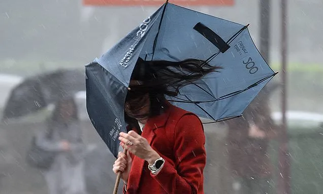 Aussies slam weather bureau website after tech glitch