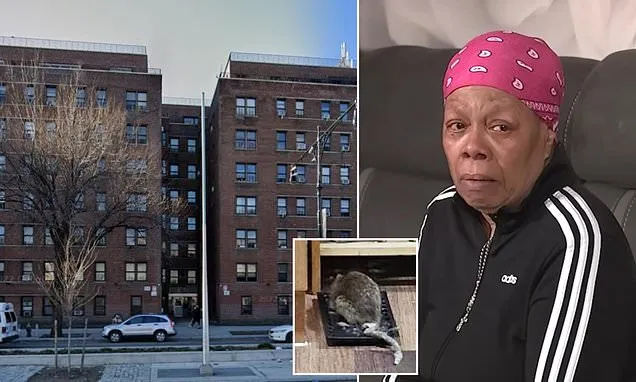 Elderly cancer survivor forced to live in rat filled NYC apartment