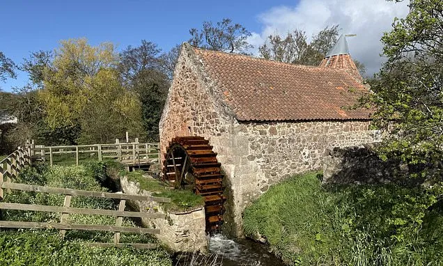 Mill which featured in Outlander grinds grain again
